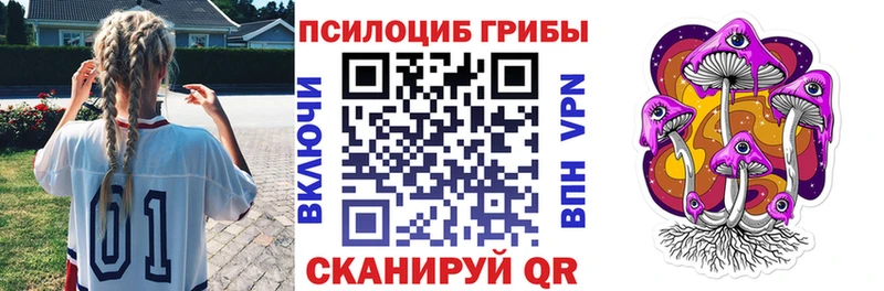 Псилоцибиновые грибы MAGIC MUSHROOMS Трубчевск
